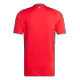 New Wales Jersey 2024 Home Soccer Shirt - Best Soccer Players